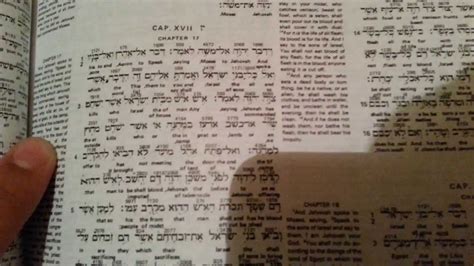 Hebrew greek interlinear bible - jawerlean