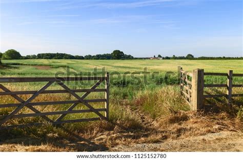 95,043 Open Land Images, Stock Photos & Vectors | Shutterstock