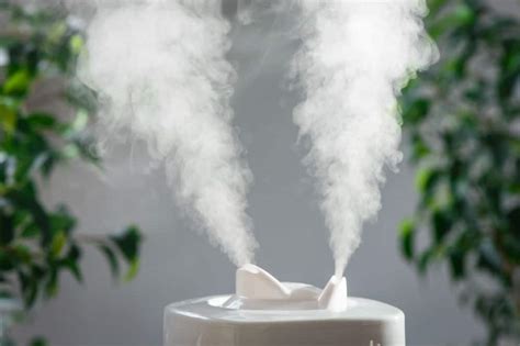 Air Purifier For Allergies Do They Work?