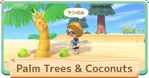 ACNH | Palm Trees & Coconuts - How To Get & Plant | Animal Crossing - GameWith