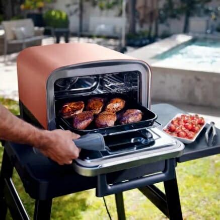 The Ninja Woodfire Outdoor Oven is Released with Temps Up to 700°F ...