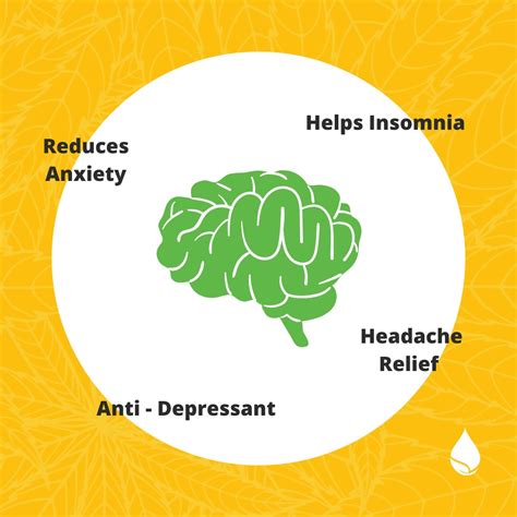 CBD For Anxiety - Shop PureMed