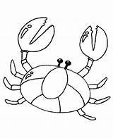 Free & Easy To Print Crab Coloring Pages  Tulamama sketch template