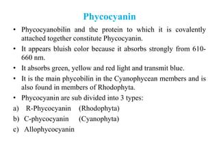 Accessory pigments in algae- Phycobilins | PPT