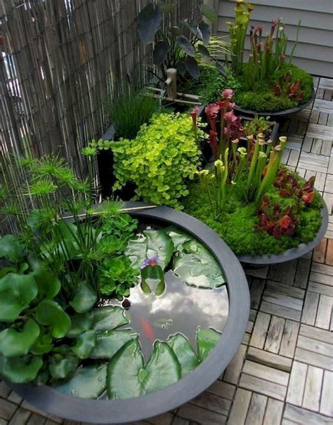 20+ Container Fish Pond Ideas – ZYHOMY