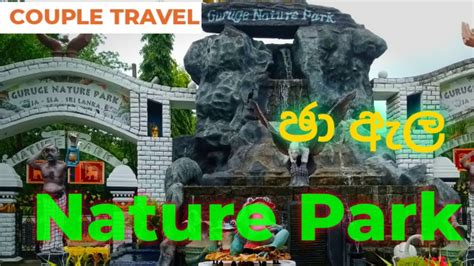 ගුරුගේ නැචර් පාර්ක්/Natural Park/Jaela Guruge park/Sri Lanka Best Place #travel - YouTube