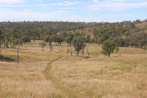 3310 Beeron Road, Mundubbera QLD 4626 - House for Sale - $8,000,000