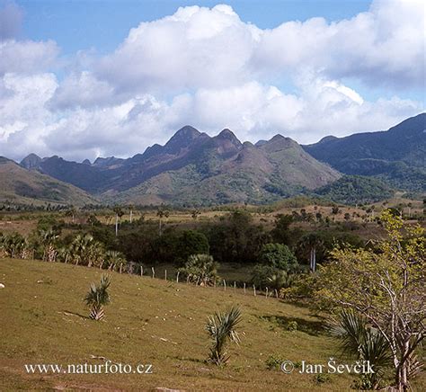 Cuba Photos, Cuba Images, Nature Wildlife Pictures | NaturePhoto