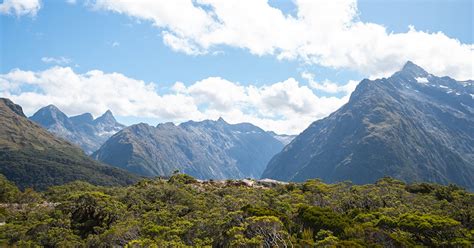 New Zealand National Parks | A Complete Guide - New Zealand Trails