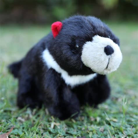 Tasmanian Devil Plush Toy - Aussie Ark