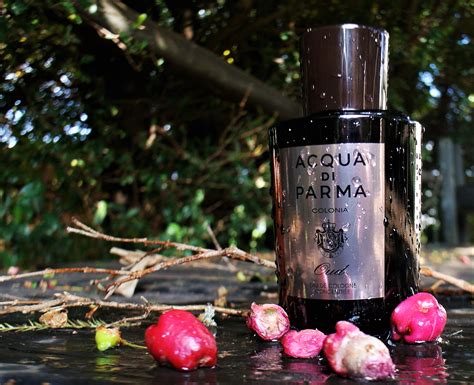 Acqua di Parma Colonia Oud Review: When Contrasts Meet