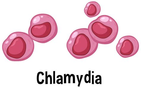 40+ Chlamydia Cartoon Stock Illustrations, Royalty-Free Vector Graphics ...