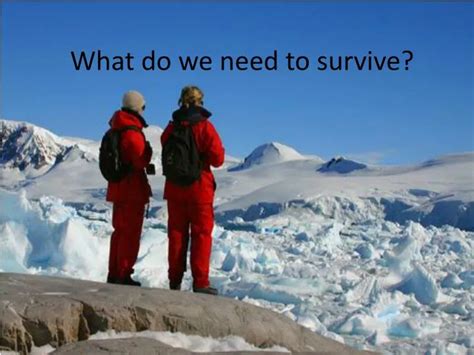 PPT - What do we need to survive? PowerPoint Presentation, free download - ID:1952518