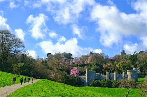 Memorial gardens and nature trail opened at Caerhays Castle | HortWeek