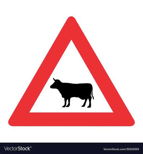 Cattle traffic sign Royalty Free Vector Image - VectorStock