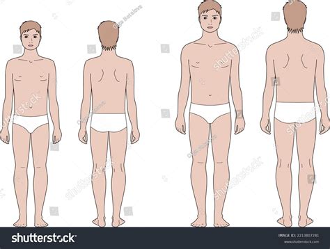 Boy Teenager Figure Body Proportions 12 Stock Vector (Royalty Free) 2213807281 | Shutterstock