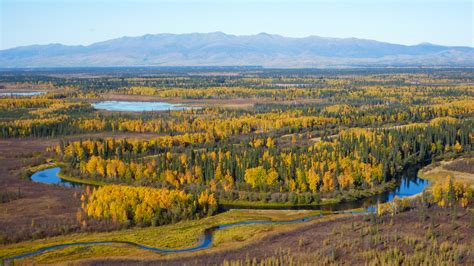 We can’t keep chopping down the boreal forest for Costco toilet paper