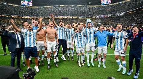 480x484 Resolution Argentina World Cup 2022 Victory Celebration Android ...