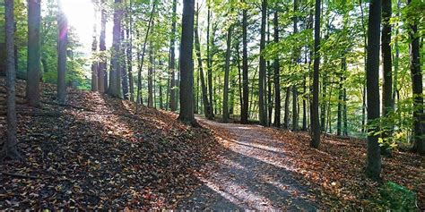 Dundas Valley Conservation Area: Hiking the Dundas Valley Trails ...