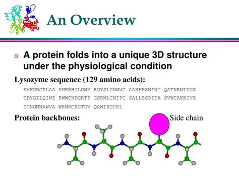 PPT - Basic bioinformatics tools for studying proteins PowerPoint ...