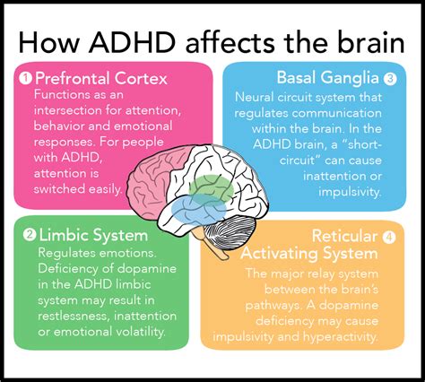 ADHD From a Scientific Point-of-View - UnlockingADHD