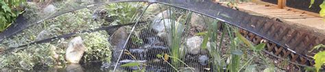 Pond Netting | Atlantic Water Gardens