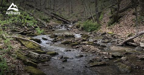 10 Best hikes and trails in Shawnee State Forest | AllTrails