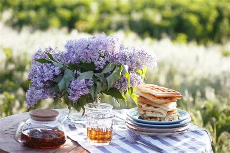 Breakfast in the garden stock photo. Image of shadow - 13329704