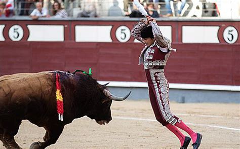 Syrian migrant realises longtime dream to become bullfighter in Spain - Olive Press News Spain