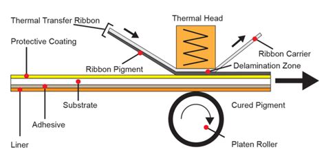 An in-depth guide to thermal transfer printing | Sticker it blog