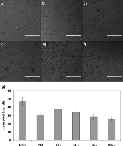 Comparing Trypan Blue AO/PI Staining Methods Nexcelom, 52% OFF