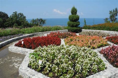 Batumi Botanical Garden - Enjoy Georgia