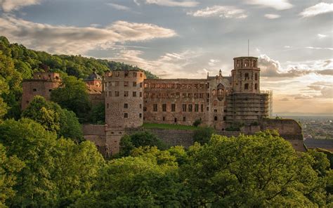 Download Man Made Heidelberg Castle HD Wallpaper