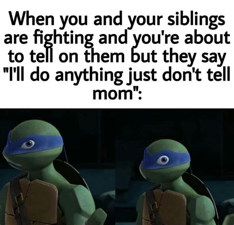 Pin by 00Emily00 Gutierrez00 on Tmnt | Teenage mutant ninja turtles ...