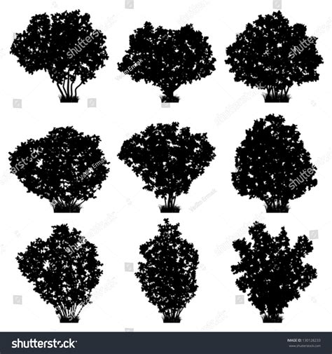 Bushes Silhouettes Vector Set Stock Vector 130128233 - Shutterstock