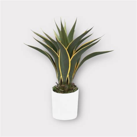 Artificial Agave Plant - Thai Garden Design