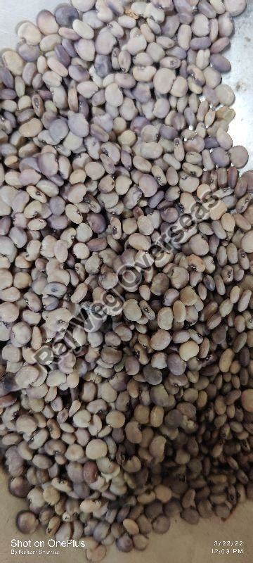 Organic Cluster Beans Seeds, Packaging Type : Gunny Bag, Specialities ...