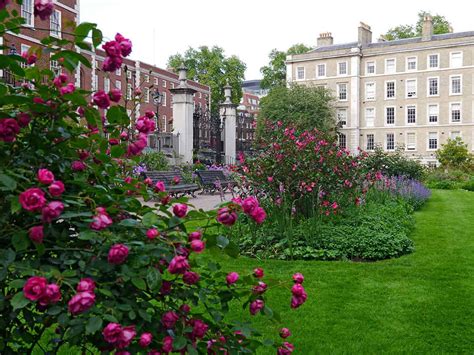 5 gardens to visit on Open Garden Squares Weekend - City Matters