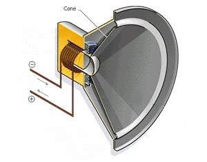 Speaker Cone Materials Glossary and Introduction - Farshad Shirazi