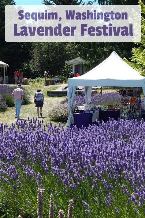 Sequim Lavender Festival | The Lavender Capital of North America