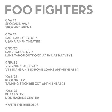 Foo Fighters Milwaukee 2024 Tickets - Aaren Annalee