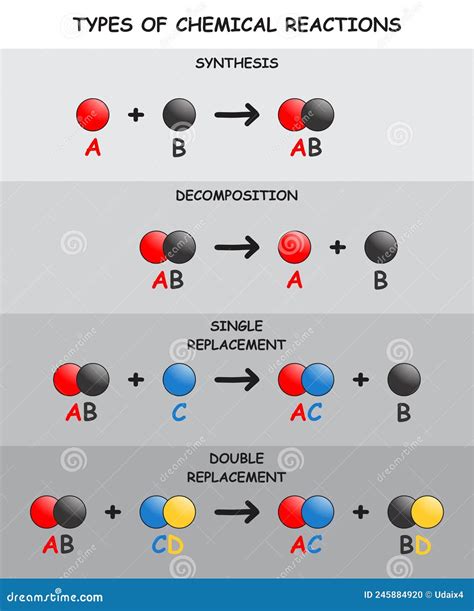 Types Of Chemical Reactions Infographic Diagram Vector Illustration | CartoonDealer.com #245884920