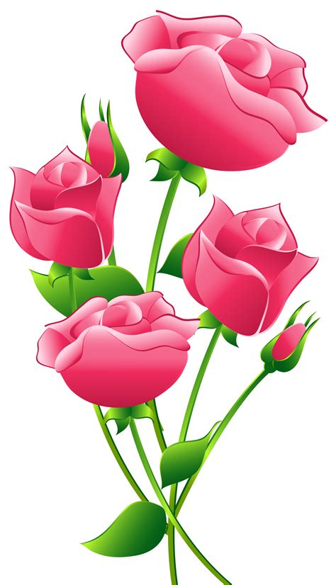 Pink Roses Transparent PNG Clip Art Image | Иллюстрации цветок, Цветочное искусство, Розы