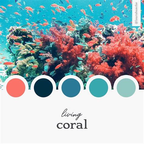 Brand Moodboard: Living Coral | Paletas de colores, Adornos de coral, Paletas de color turquesas