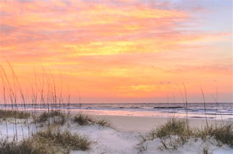 South Carolina Sunrise | Sunrise, Pretty sky, Beautiful sunrise