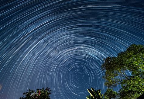 Star Trails Taken in a Sydney Backyard with Trees the Foreground NSW ...