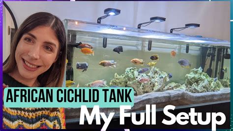 Full African Cichlid Tank Setup - My 6ft Lake Malawi Aquarium - YouTube