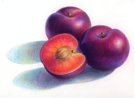 Color Pencil Drawing Ideas in 2020 | Fruits drawing, Color pencil drawing, Color pencil art