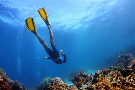 Best Snorkeling and Scuba Diving in Negril (Where and How)