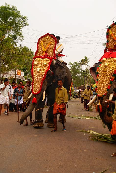 Kerala Elephant Painting